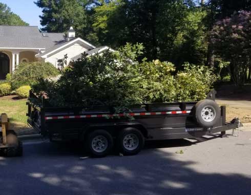 tree stump removal denver nc, Cary NC