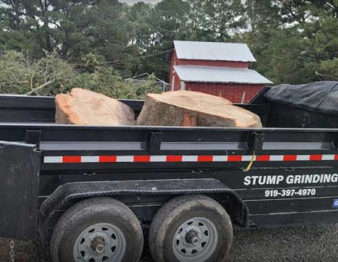 Stump-Grinding-Job-Cary-NC-Stumps-in-Trailer