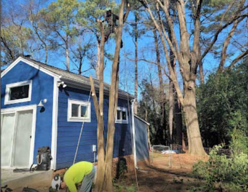 Cary-NC-Tree-Removal-Job-Close-to-Small-Shed