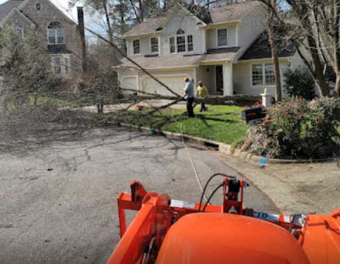 Cary-NC-Tree-Removal-View-from-Tractor