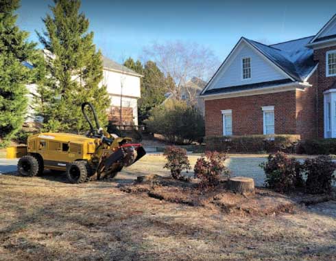 Raleigh-NC-Stump-Grinding-Job-Front-Yard-Garden
