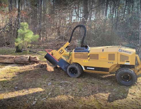 Raleigh-NC-Stump-Grinding-Job-Wooded-Area-Backyard-2