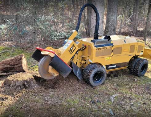 Raleigh-NC-Stump-Grinding-Job-Wooded-Area-Backyard