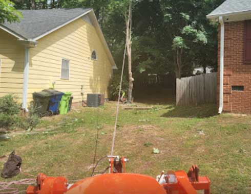 June-2022-Tree-Removal-Job-in-Cary-NC-3