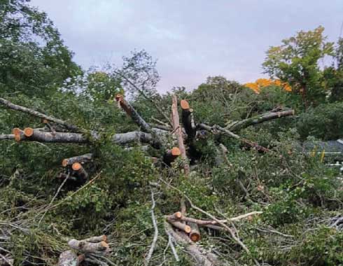 Cary-NC-Emergency-Storm-Tree-Removal-Job-1