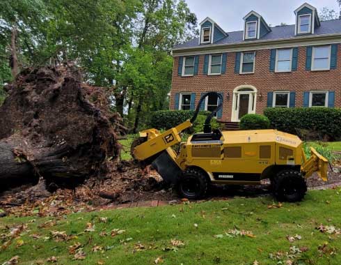 Cary-North-Carolina-Storm-Clean-Up-Stump-Grinding-October-2022