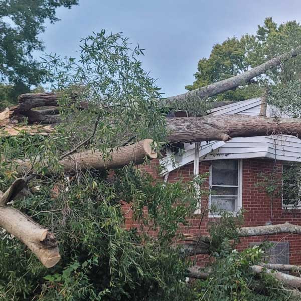 Emergency-Storm-Tree-Removal-Cary-Raleigh-Apex-North-Carolina