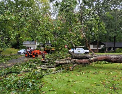 Storm-Clean-Up-Tree-Removal-Cary-NC-October-2022