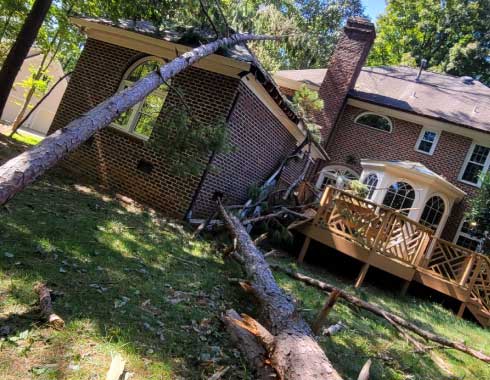 Storm-Tree-Removal-Emergency-Clean-Up-Cary-North-Carolina-1