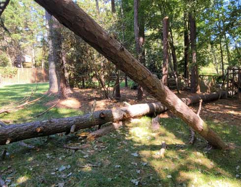 Storm-Tree-Removal-Emergency-Clean-Up-Cary-North-Carolina-2