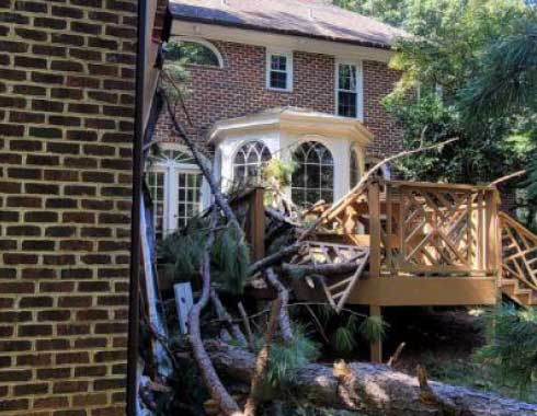 Storm-Tree-Removal-Emergency-Clean-Up-Cary-North-Carolina-5