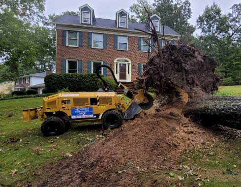 Stump-Grinding-Cary-North-Carolina-October-2022-Storm-Clean-Up